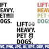left-heavy-pet-dogs