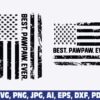 best-pawpaw-ever