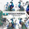 peacock-portrait-watercolor-clipart