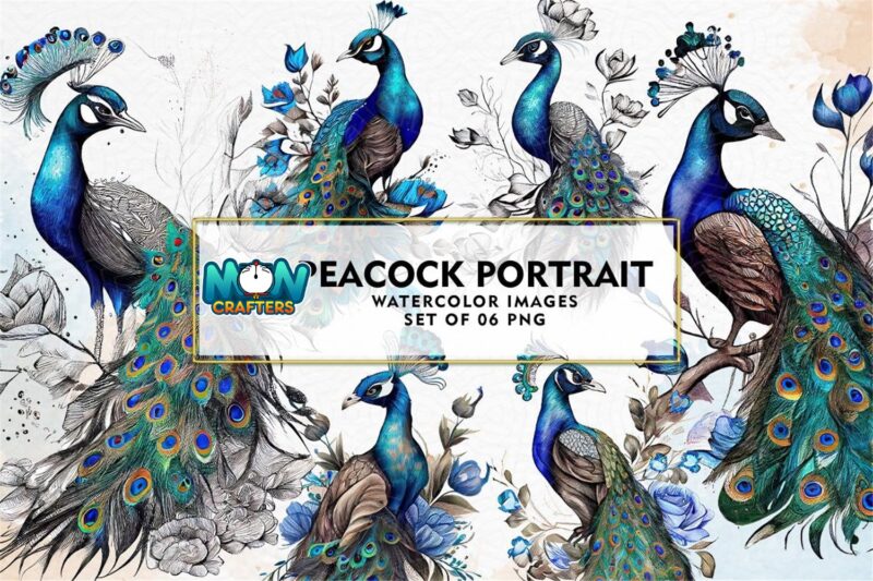 peacock-portrait-watercolor-clipart