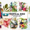 tropical-bird-watercolor-sublimation