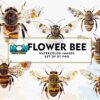 flower-bee-watercolor-sublimation