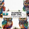 rainbow-baby-owl-watercolor-sublimation