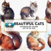 beautiful-cat-watercolor-sublimation