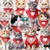 cats-red-bandana-collection-clipart-png