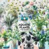 aquatic-plants-clipart-png-graphics