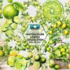 watercolor-lemon-collection-clipart-png