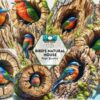 birds-natural-house-clipart-png