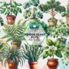 indoor-plant-pots-clipart-png-graphics