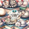 cat-sleeping-on-book-clipart-png