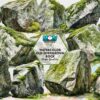 watercolor-old-overgrown-rock-clipart