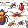 insect-clipart-sublimation